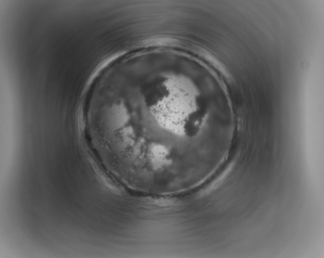 X0000113571117200909251129