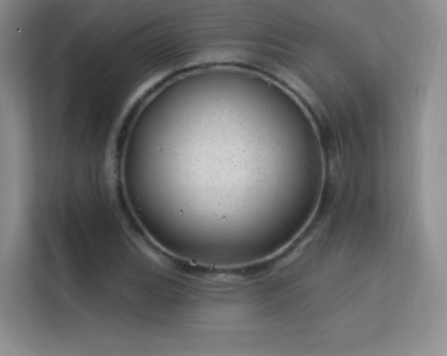 X0000113571119200909251129