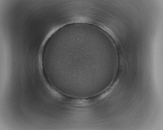 X0000113571120200909251129