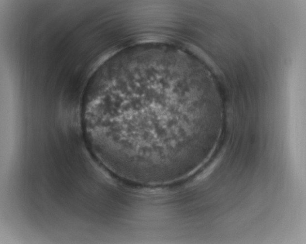 X0000113571121200909251129
