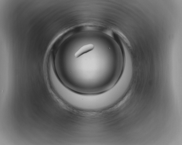 X0000113571122200909251129