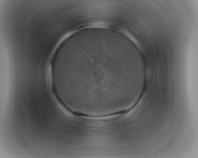 X0000113571123200909251129