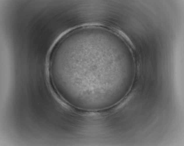 X0000113571124200909251129