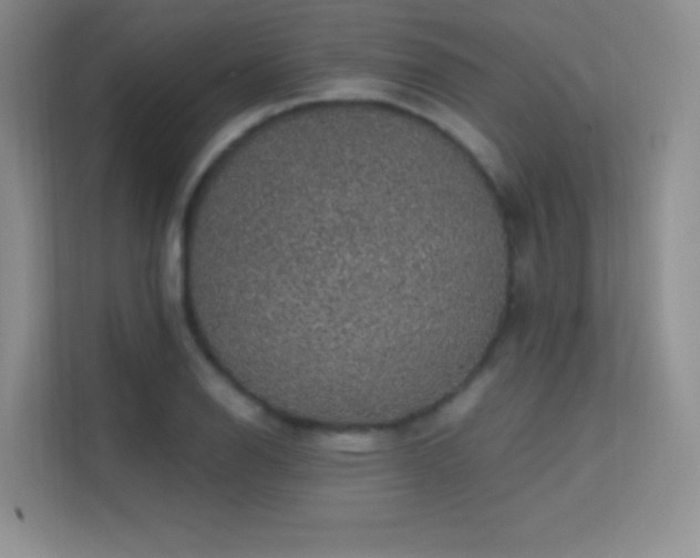X0000113571126200909251129