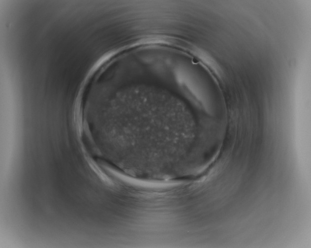 X0000113571127200909251129