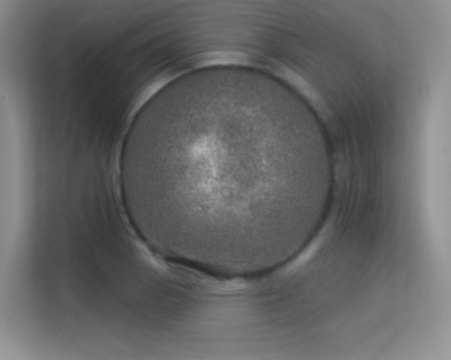 X0000113571129200909251129