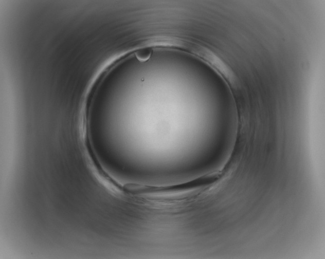 X0000113571132200909251129