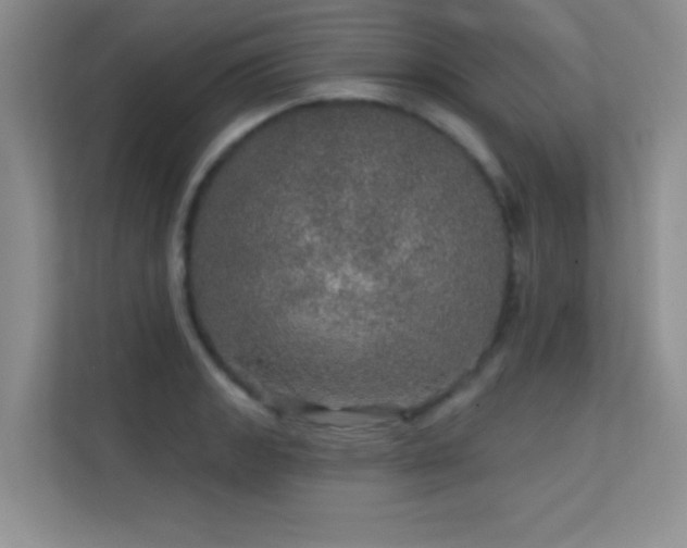 X0000113571133200909251129