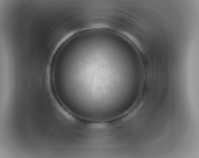 X0000113571134200909251129