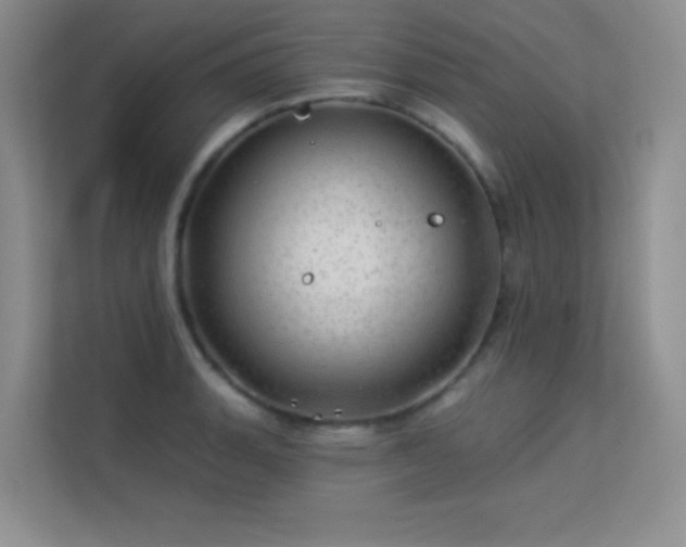 X0000113571135200909251129