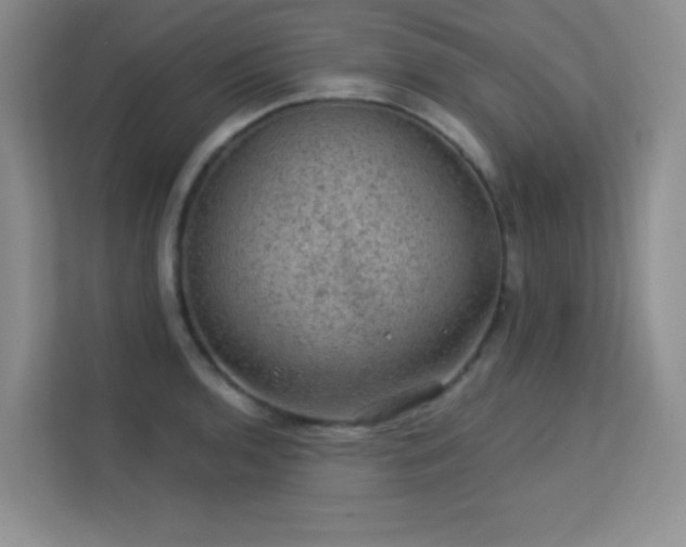 X0000113571136200909251129