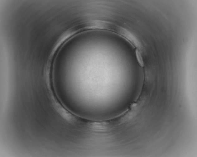 X0000113571138200909251129
