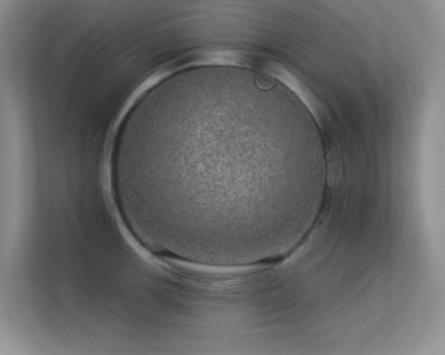 X0000113571139200909251129