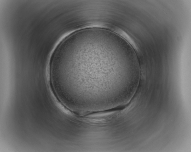 X0000113571140200909251129