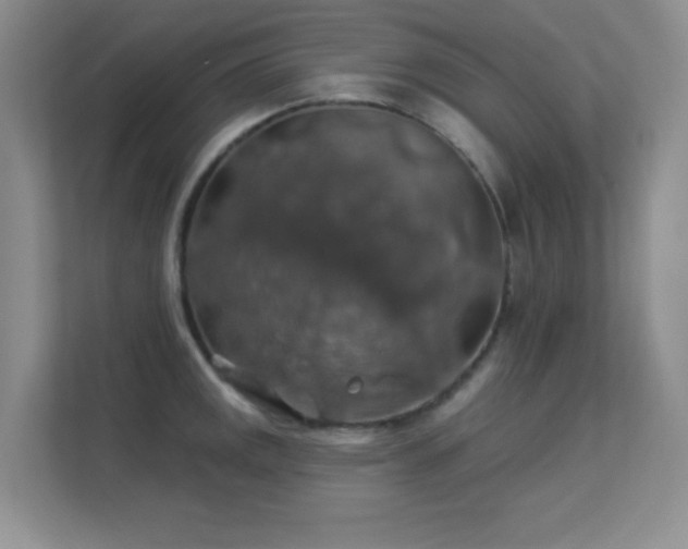 X0000113571141200909251129