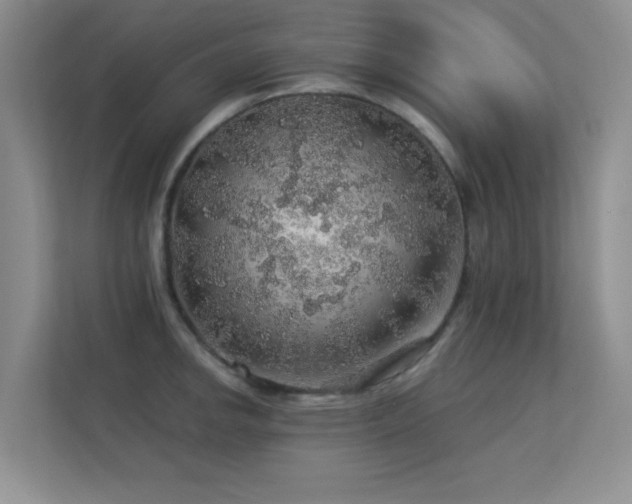 X0000113571142200909251129