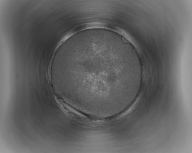 X0000113571145200909251129