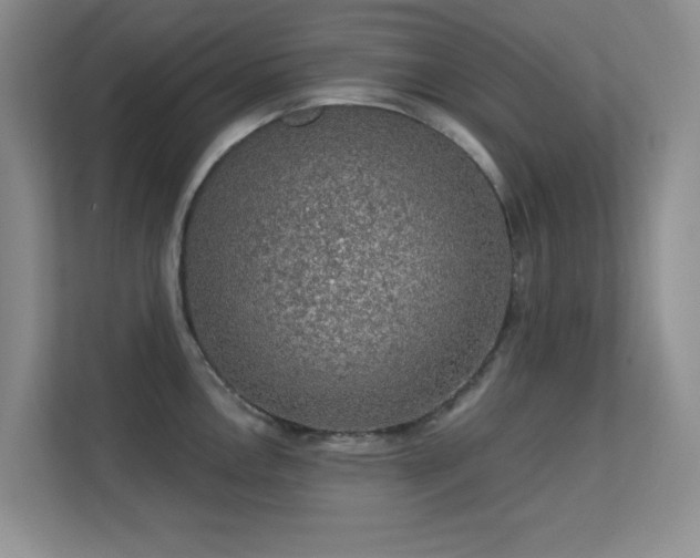 X0000113571146200909251129
