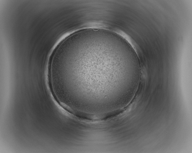 X0000113571147200909251129
