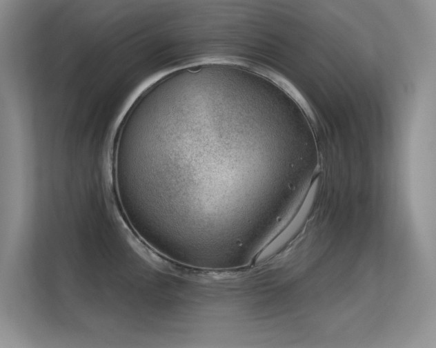 X0000113571148200909251129