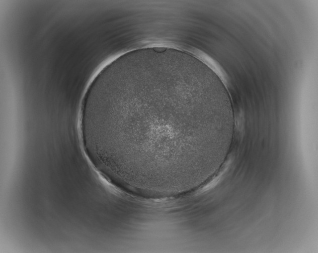 X0000113571149200909251129