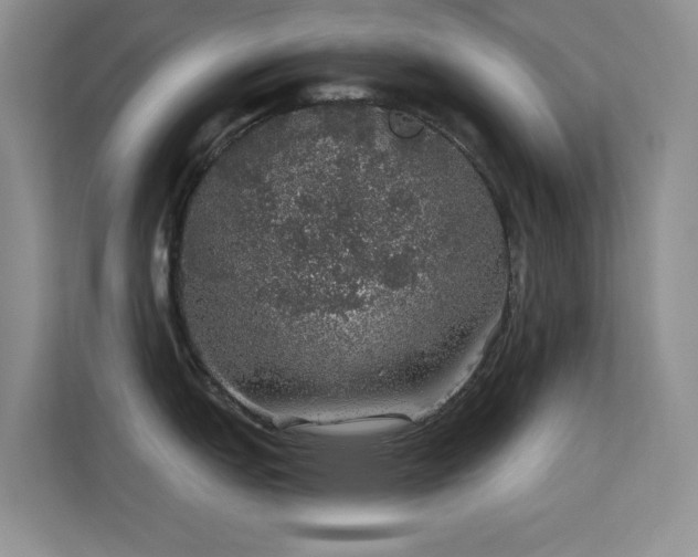X0000113571151200909251129