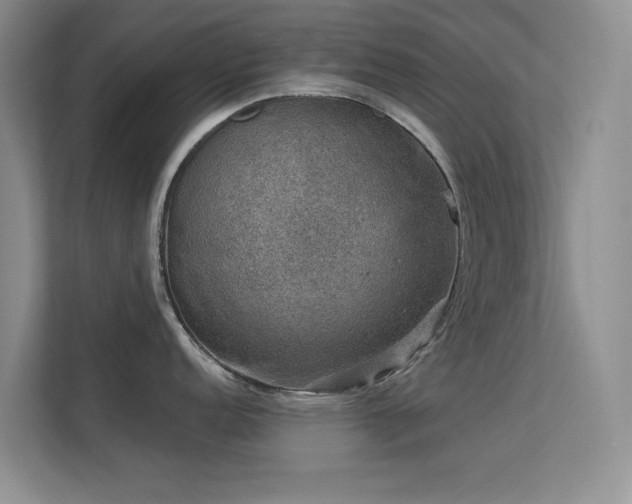 X0000113571152200909251129