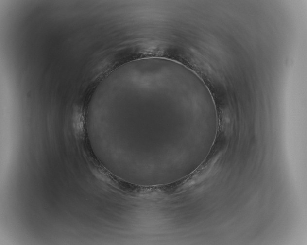 X0000113571154200909251129