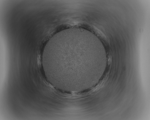 X0000113571156200909251129