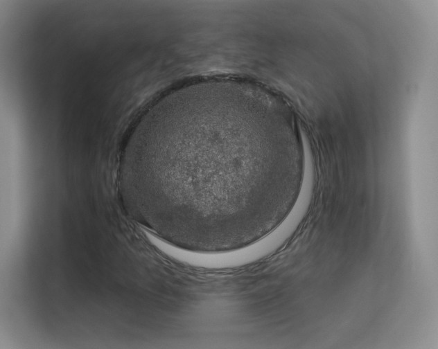 X0000113571157200909251129