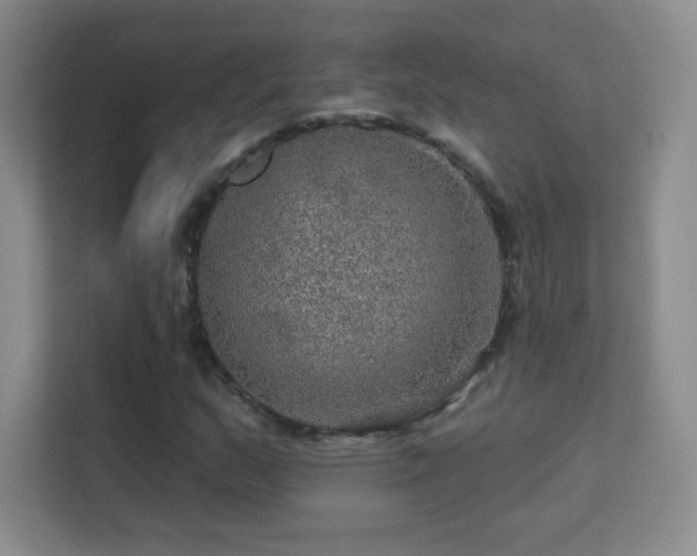 X0000113571159200909251128