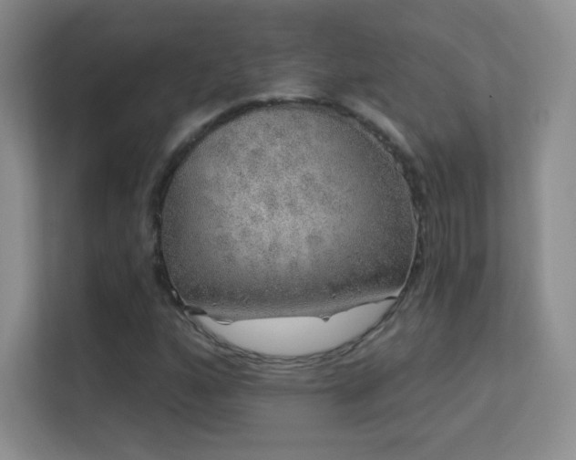 X0000113571160200909251128