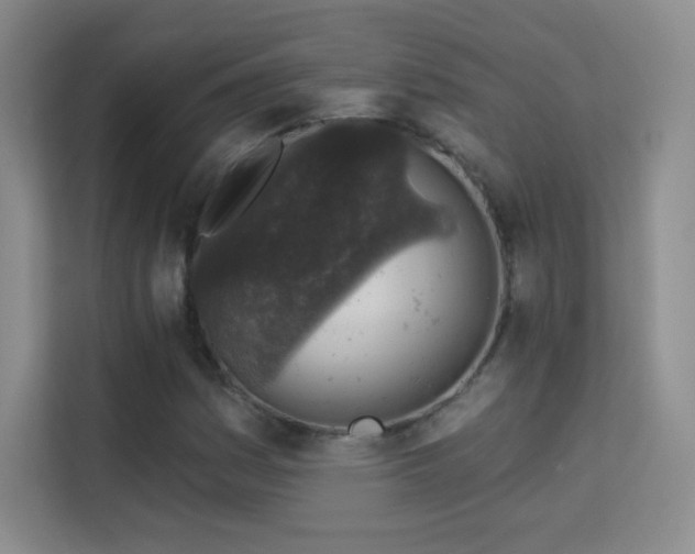 X0000113571161200909251128