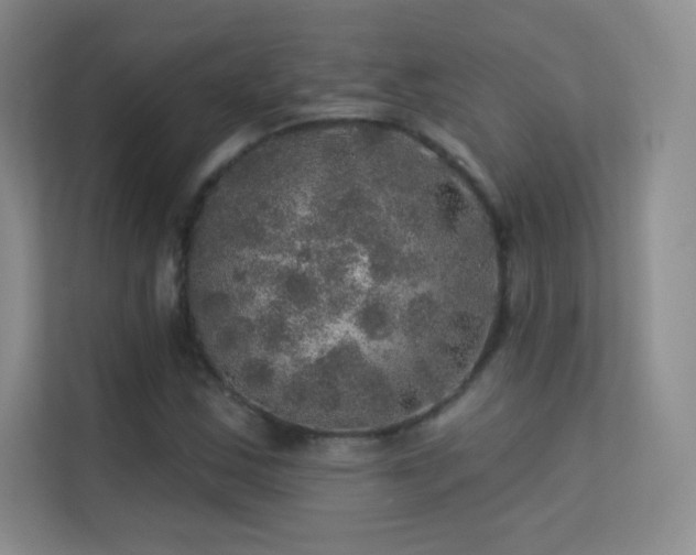 X0000113571163200909251128