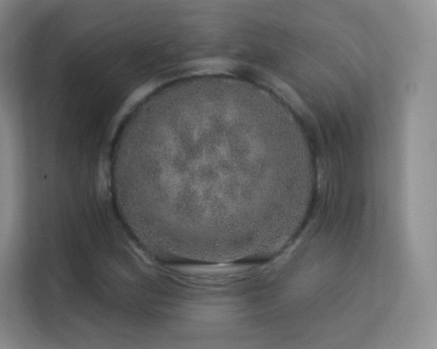 X0000113571164200909251128