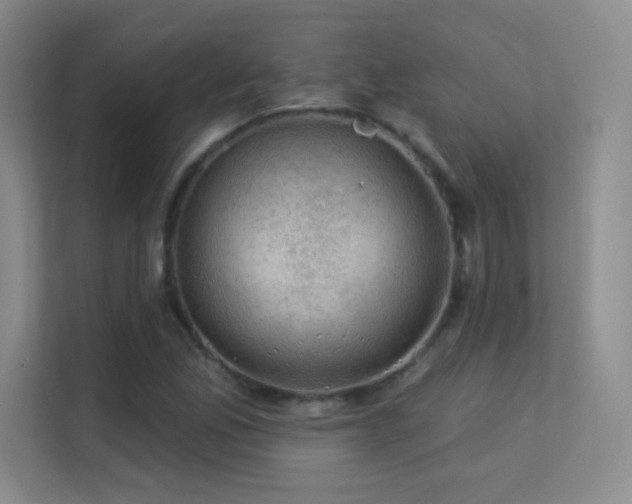 X0000113571165200909251128