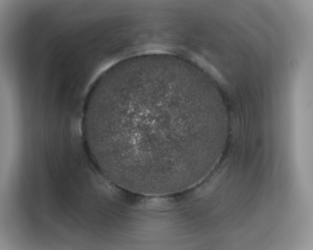 X0000113571166200909251128