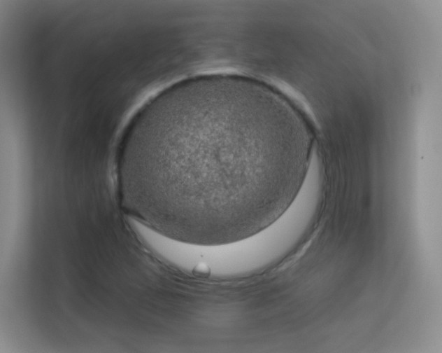 X0000113571167200909251128