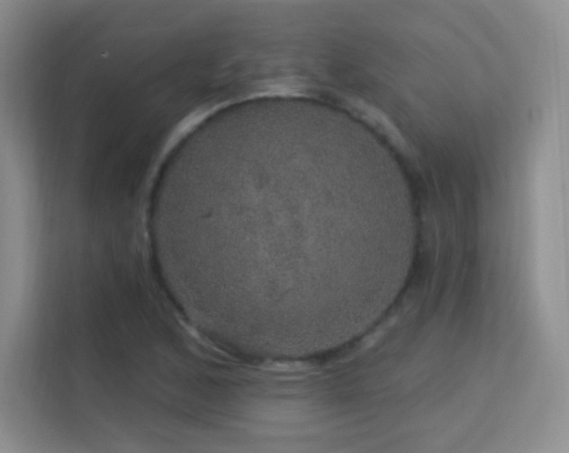 X0000113571168200909251128