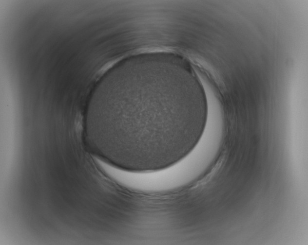 X0000113571169200909251128