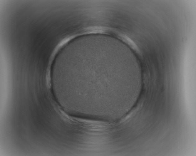 X0000113571172200909251128