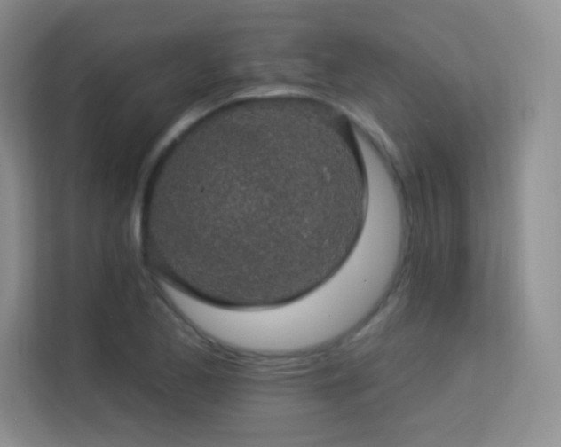 X0000113571173200909251128