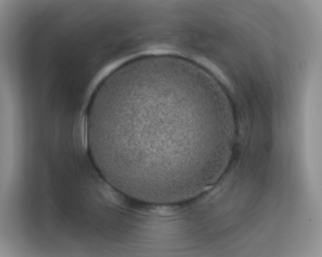 X0000113571175200909251128