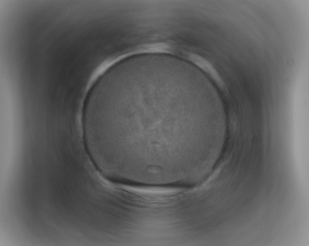 X0000113571176200909251128