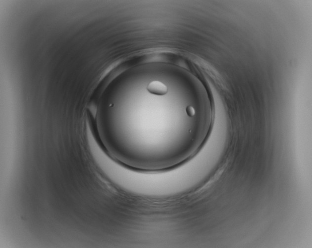X0000113571177200909251128