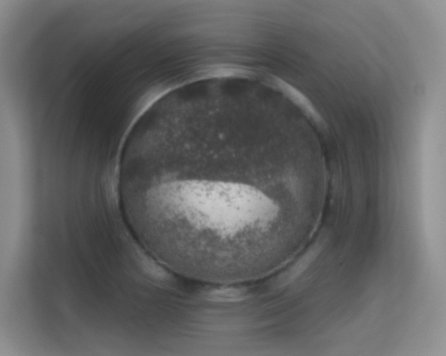 X0000113571178200909251128