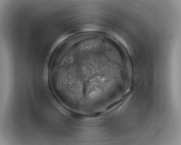 X0000113571179200909251128