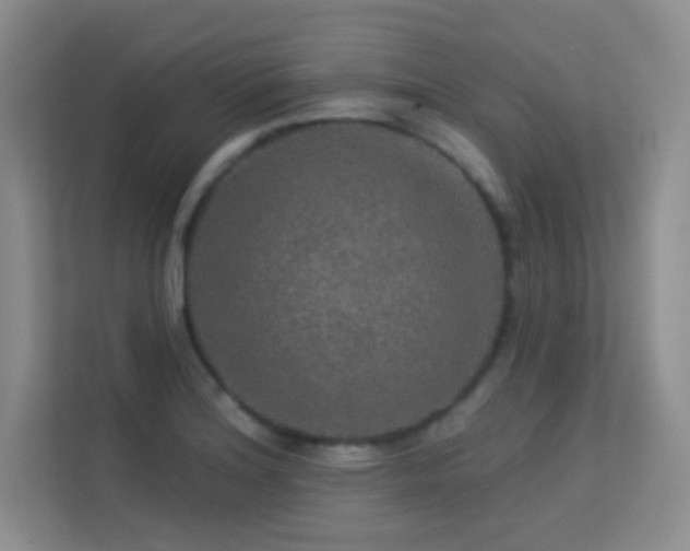 X0000113571180200909251128