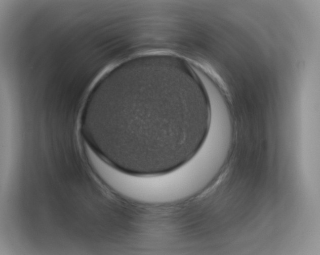 X0000113571181200909251128