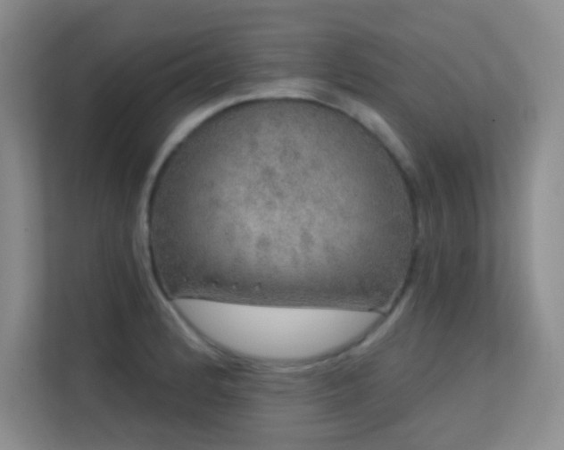 X0000113571184200909251128